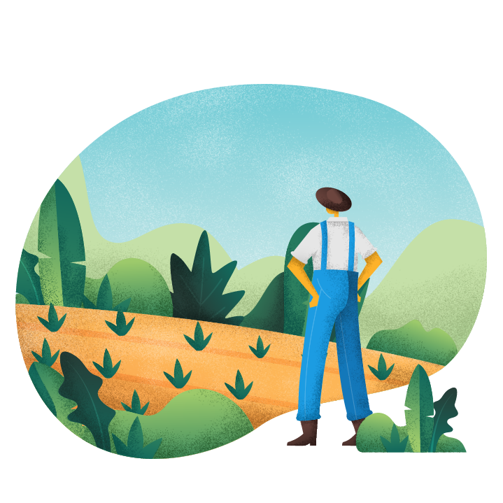 Illustration of farmer looking out into their young crop